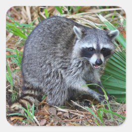 Adesivo Quadrado Don't Mind Me, Just Passing Through