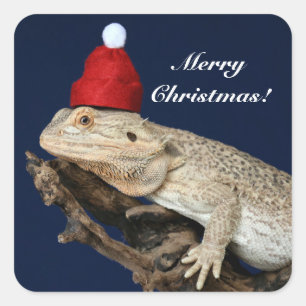 Adesivo Quadrado Dragão Carborado Personalizado Lizard - Santa Chap