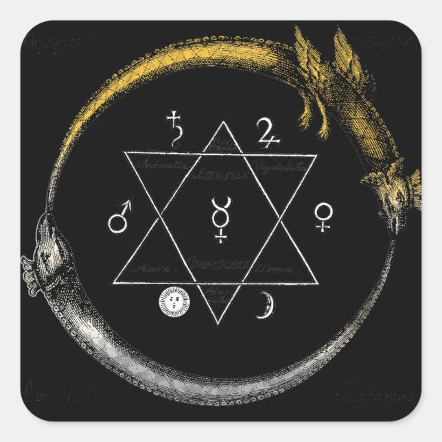 Adesivo Quadrado Dragão e Cobra Ouroboros (Frente)