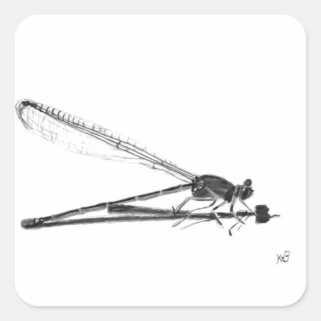 Adesivo Quadrado Dragon Fly (Frente)