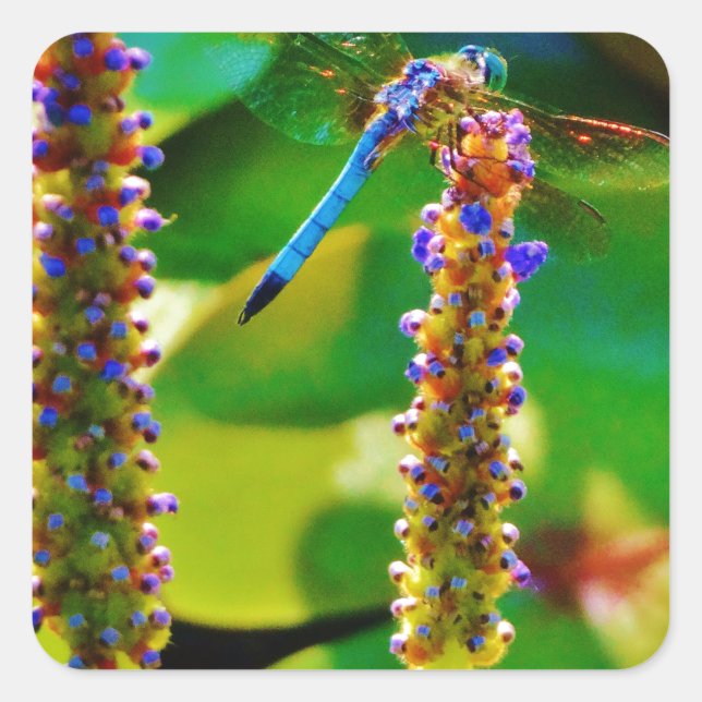 Adesivo Quadrado Dragonfly azul e flores (Frente)
