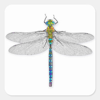 Adesivo Quadrado Dragonfly Deliciosa