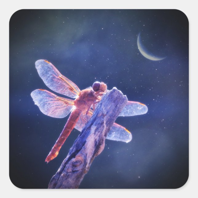 Adesivo Quadrado Dragonfly e Crescent Moon Mystical (Frente)