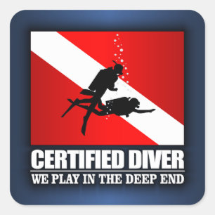 Adesivo Quadrado Driver certificado (Deep End)