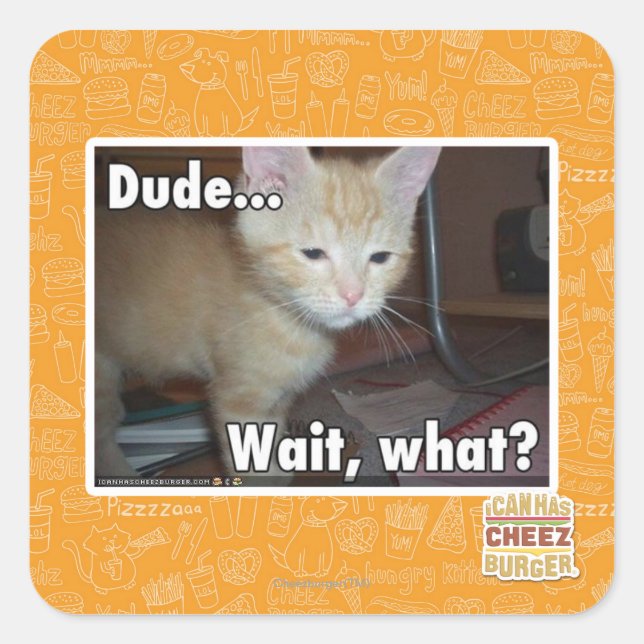 Adesivo Quadrado Dude (Frente)