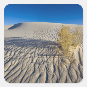Adesivo Quadrado Dunas de areia no Monumento Nacional White Sands e