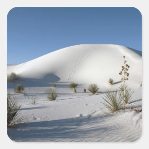 Adesivo Quadrado Dunas Transversais e Soaptree Yucca