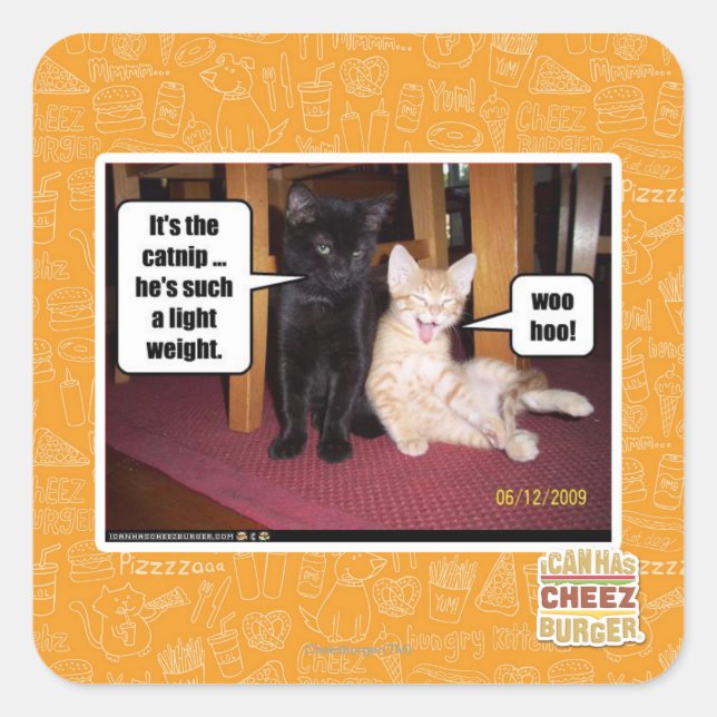 Adesivo Quadrado É o catnip (Frente)