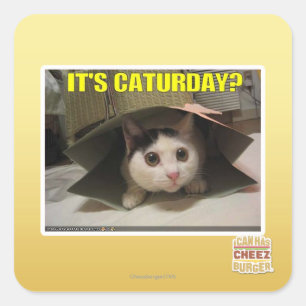 Adesivo Quadrado É o sábado?