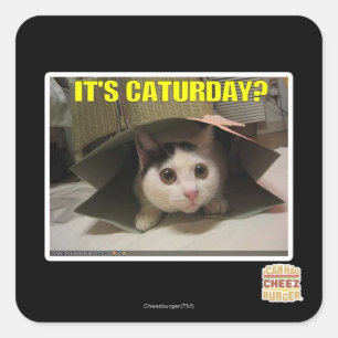 Adesivo Quadrado É o sábado?