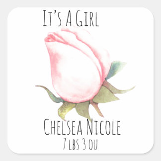 Adesivo Quadrado É uma foca de envelopes para garotas