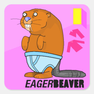 Adesivo Quadrado Eager Beaver