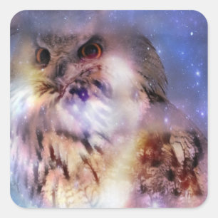 Adesivo Quadrado Eagle-owl Stickers