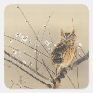 Adesivo Quadrado Early Plum Blossoms de Nishimura Goun, Vintage Owl