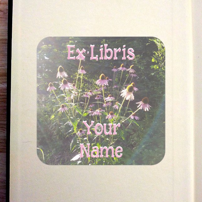 Adesivo Quadrado Echinacea Flowers in the Sun Bookplate (Echinacea Flowers in the Sun Bookplate in Old Book)