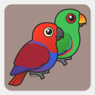 Adesivo Quadrado Eclectus Pair