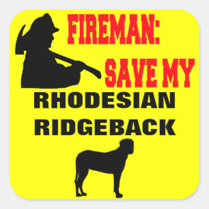 Adesivo Quadrado Economias do bombeiro meu cão de Rhodesian