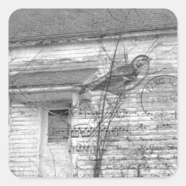 Adesivo Quadrado Edição Abandonada de Música House Bird