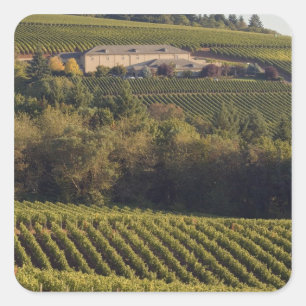 Adesivo Quadrado Edifício de bronzeamento da Archery Summit em cima