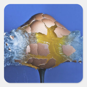 Adesivo Quadrado Eggceptional