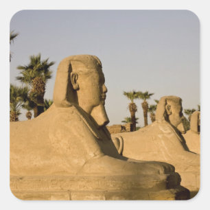 Adesivo Quadrado Egito, Luxor. A Avenida de Esfinges leva a