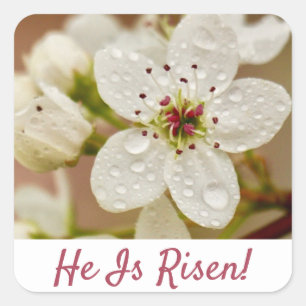 Adesivo Quadrado "Ele Está Risen!" Domingo de ressurreição