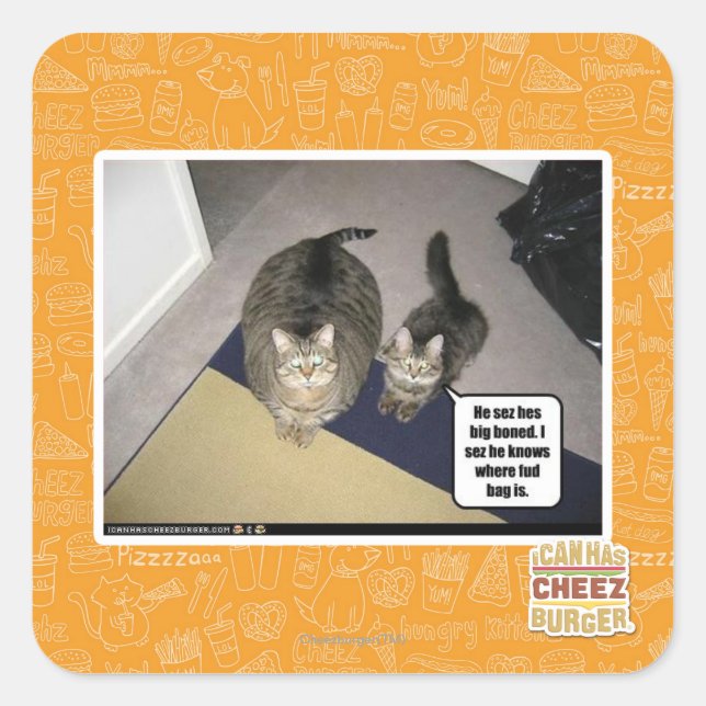 Adesivo Quadrado Ele solta-se. (Frente)