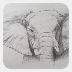 Adesivo Quadrado Elefante 2011