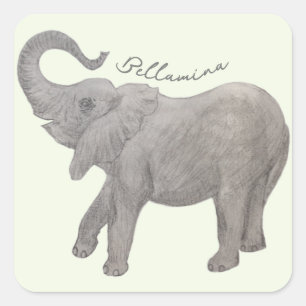 Adesivo Quadrado Elefante Bebê Com Texto