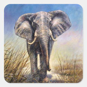 Adesivo Quadrado Elefante colorido que funciona através da planíc