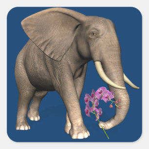 Adesivo Quadrado Elefante Com Orquídea Rosa