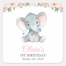 Elefante, Flores Aquarela Rosa, Primeiro Aniversár