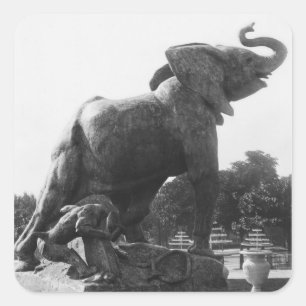 Adesivo Quadrado Elefante jovem apanhado numa armadilha