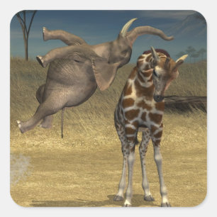 Adesivo Quadrado Elefante Salta Sobre Girafa