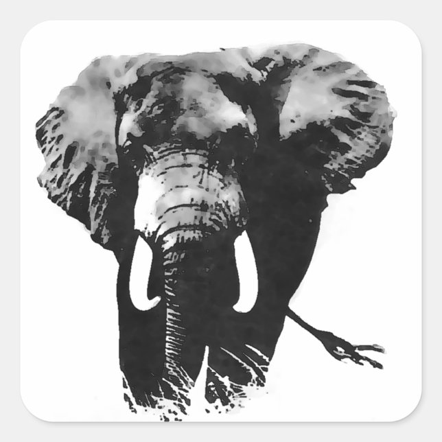 Adesivo Quadrado Elefante Walking (Frente)