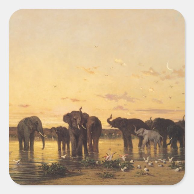 Adesivo Quadrado Elefantes Africanos (Frente)