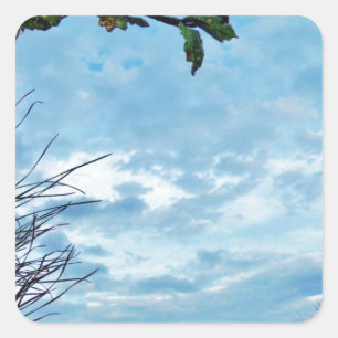 Adesivo Quadrado Elegante Holly Christmas, céu azul