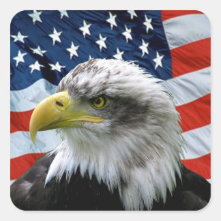 Adesivo Quadrado Elemento de Bandeira Americano Bald Patriótico