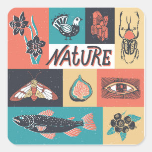 Adesivo Quadrado Elementos Natureza, Ícones de Estilo Retroativo.