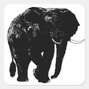 Adesivo Quadrado Elephant Square Sticker