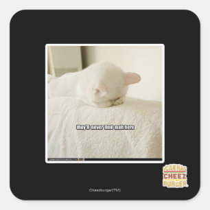 Adesivo Quadrado eles nunca me encontrarão aqui