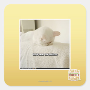 Adesivo Quadrado eles nunca me encontrarão aqui