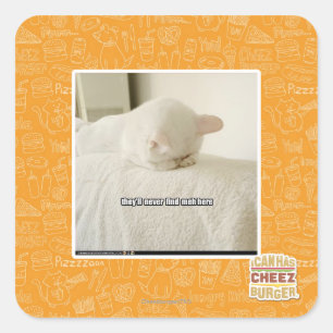 Adesivo Quadrado eles nunca me encontrarão aqui