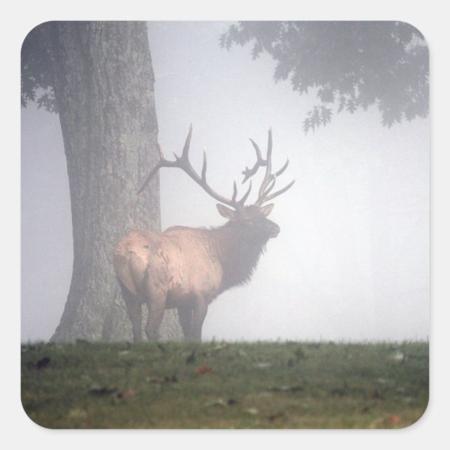 Adesivo Quadrado Elk Stickers (Frente)