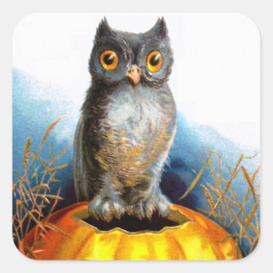 Adesivo Quadrado Ellen H. Palheta: Halloween Owl