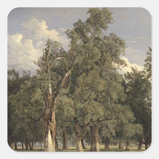 Adesivo Quadrado Elm tree in Prater, 1831 (Frente)