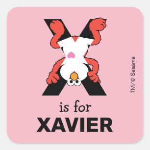 Adesivo Quadrado Elmo Alphabet X Xray