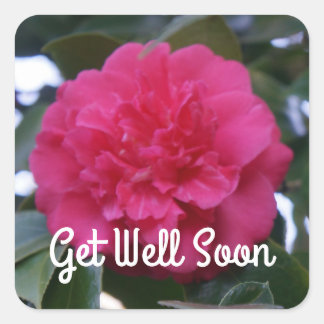 Adesivo Quadrado Em Breve, Daikagura Red Camellia Stickers