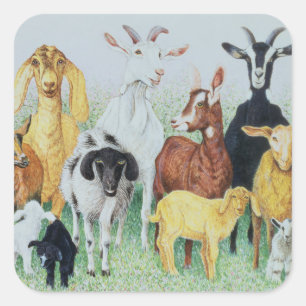 Adesivo Quadrado Em Clover