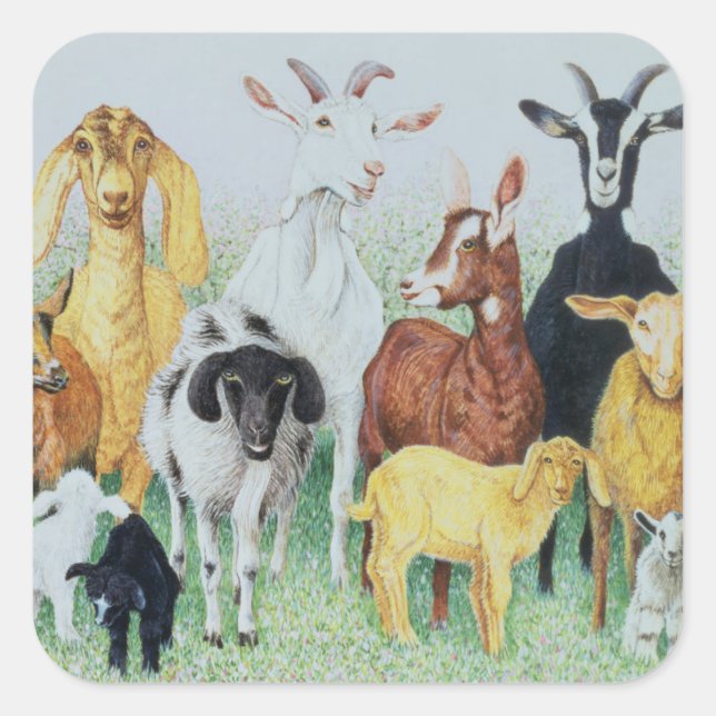 Adesivo Quadrado Em Clover (Frente)